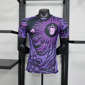 Camiseta de edición especial de Argentina, versión jugador, color morado 2023/24