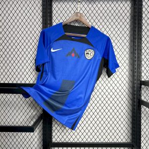 Camiseta de visitante de Eslovenia para la Eurocopa 2024/25