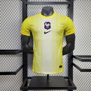 Camiseta de portero de Francia filtrada (versión jugador) 2025/26
