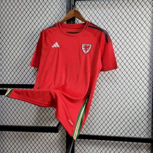 Camiseta de visitante de Gales para la Eurocopa 2024/25